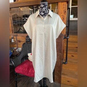 Elegant Light Sage Green Shirt Dress